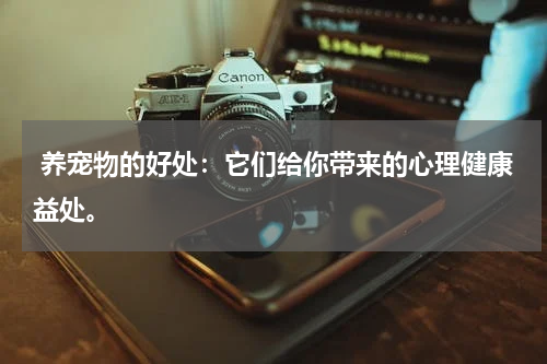 养宠物的好处:它们给你带来的心理健康益处。