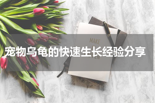 宠物乌龟的快速生长经验分享