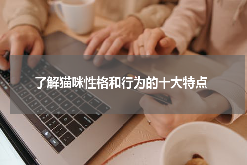 了解猫咪性格和行为的十大特点