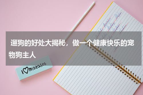 遛狗的好处大揭秘，做一个健康快乐的宠物狗主人