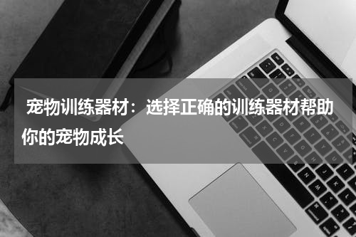 宠物训练器材:选择正确的训练器材帮助你的宠物成长