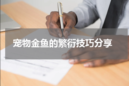 宠物金鱼的繁衍技巧分享