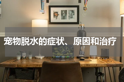  宠物脱水的症状、原因和治疗