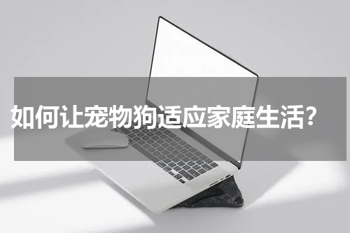  如何让宠物狗适应家庭生活？