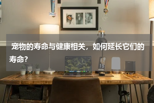  宠物的寿命与健康相关，如何延长它们的寿命？