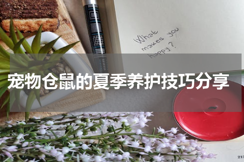 宠物仓鼠的夏季养护技巧分享