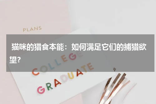 猫咪的猎食本能:如何满足它们的捕猎欲望?