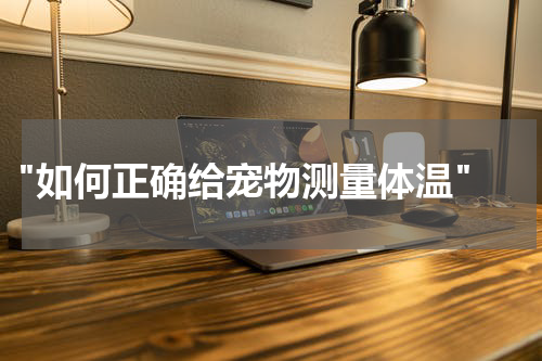 "如何正确给宠物测量体温"