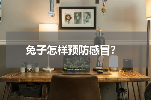 兔子怎样预防感冒?