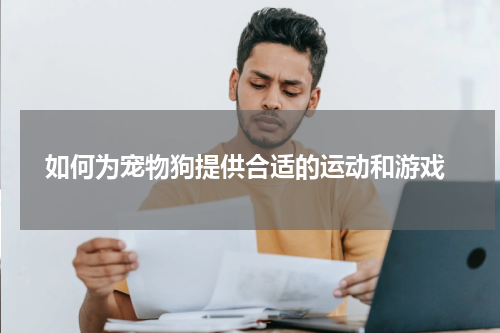 如何为宠物狗提供合适的运动和游戏