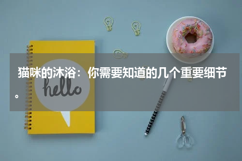 猫咪的沐浴:你需要知道的几个重要细节。