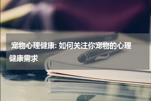 宠物心理健康: 如何关注你宠物的心理健康需求