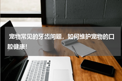 宠物常见的牙齿问题,如何维护宠物的口腔健康!