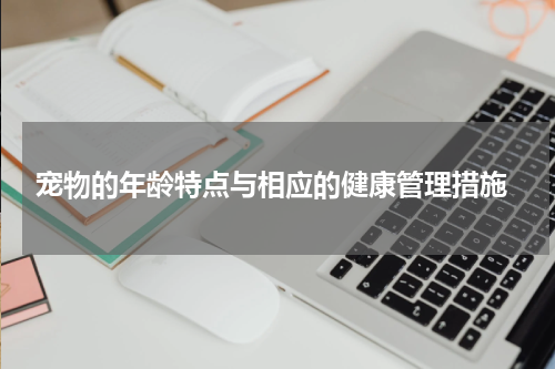 宠物的年龄特点与相应的健康管理措施