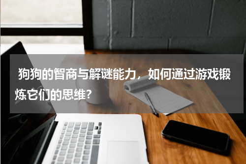  狗狗的智商与解谜能力，如何通过游戏锻炼它们的思维？