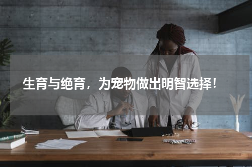 生育与绝育,为宠物做出明智选择!