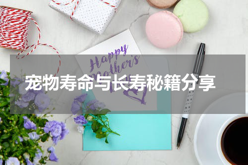 宠物寿命与长寿秘籍分享