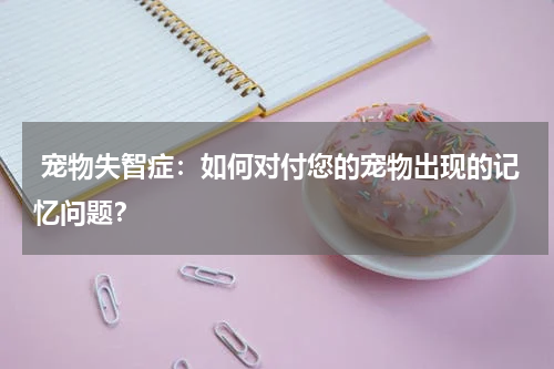宠物失智症:如何对付您的宠物出现的记忆问题?