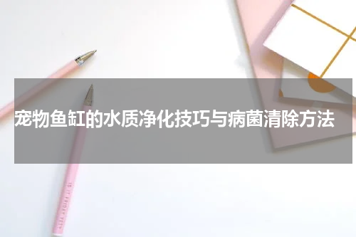宠物鱼缸的水质净化技巧与病菌清除方法