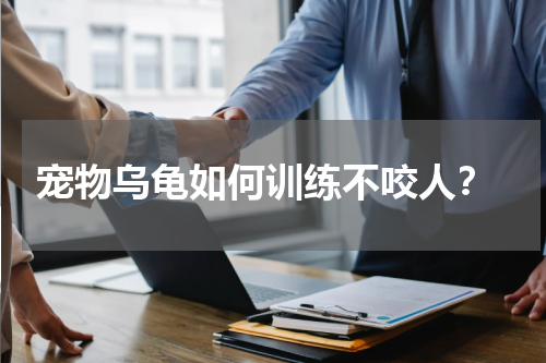 宠物乌龟如何训练不咬人?