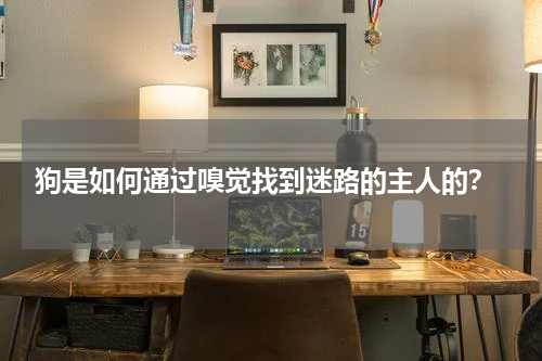 狗是如何通过嗅觉找到迷路的主人的?