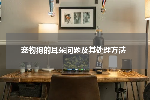 宠物狗的耳朵问题及其处理方法