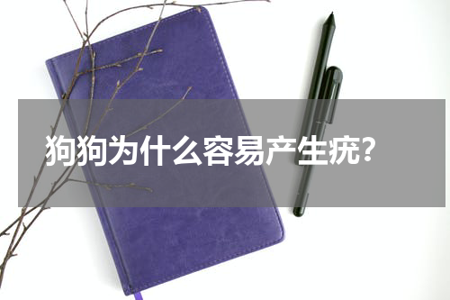 狗狗为什么容易产生疣?