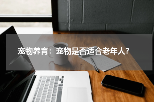 宠物养育:宠物是否适合老年人?