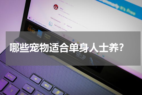 哪些宠物适合单身人士养?