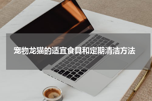 宠物龙猫的适宜食具和定期清洁方法