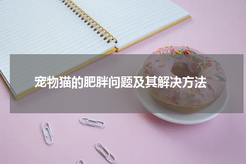 宠物猫的肥胖问题及其解决方法