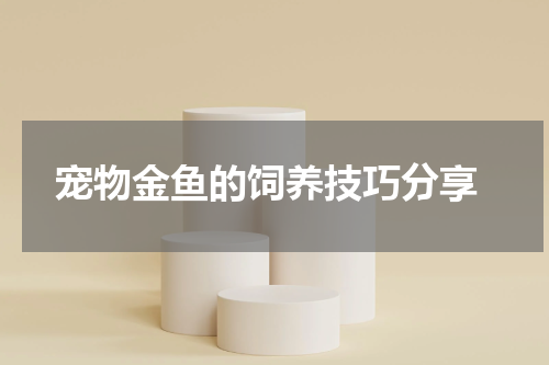 宠物金鱼的饲养技巧分享