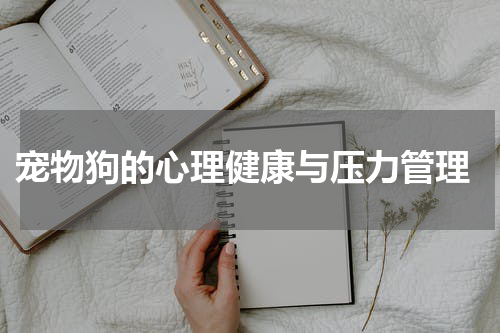  宠物狗的心理健康与压力管理