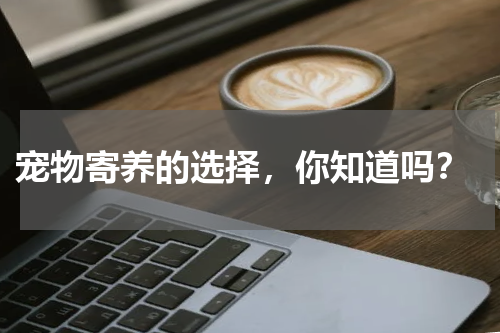 宠物寄养的选择,你知道吗?