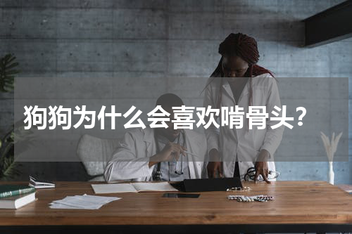 狗狗为什么会喜欢啃骨头?