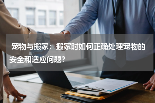 宠物与搬家:搬家时如何正确处理宠物的安全和适应问题?