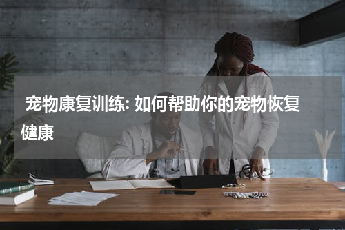 宠物康复训练: 如何帮助你的宠物恢复健康