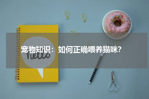 宠物知识:如何正确喂养猫咪?