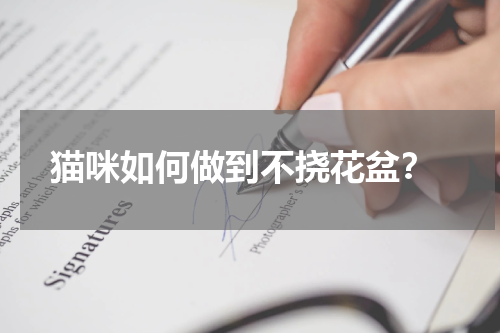 猫咪如何做到不挠花盆?