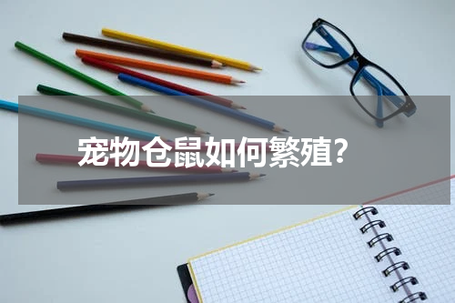 宠物仓鼠如何繁殖?