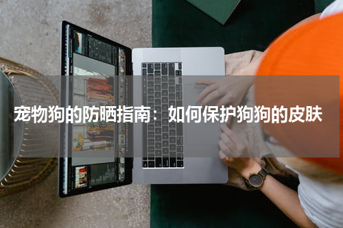 宠物狗的防晒指南:如何保护狗狗的皮肤