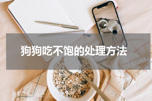 狗狗吃不饱的处理方法