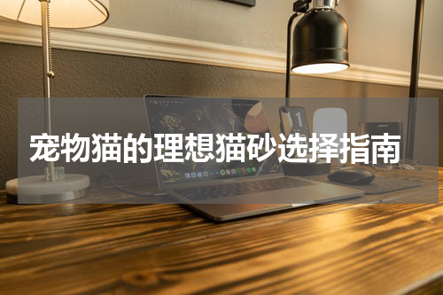 宠物猫的理想猫砂选择指南