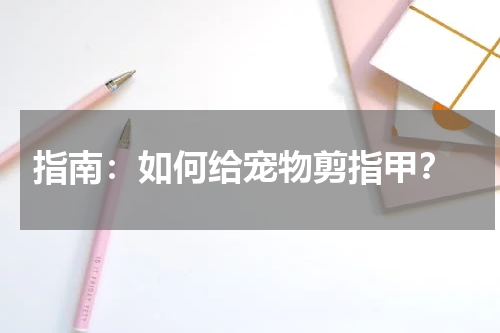 指南:如何给宠物剪指甲?
