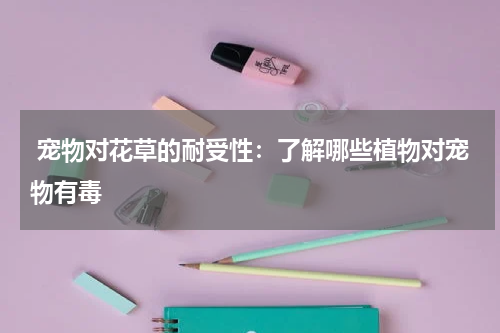  宠物对花草的耐受性：了解哪些植物对宠物有毒