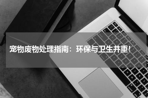 宠物废物处理指南:环保与卫生并重!