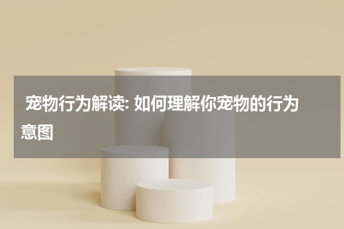 宠物行为解读: 如何理解你宠物的行为意图