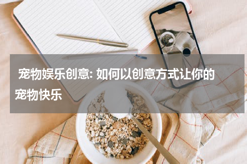 宠物娱乐创意: 如何以创意方式让你的宠物快乐