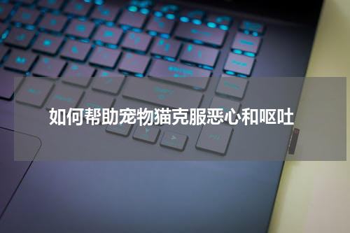 如何帮助宠物猫克服恶心和呕吐