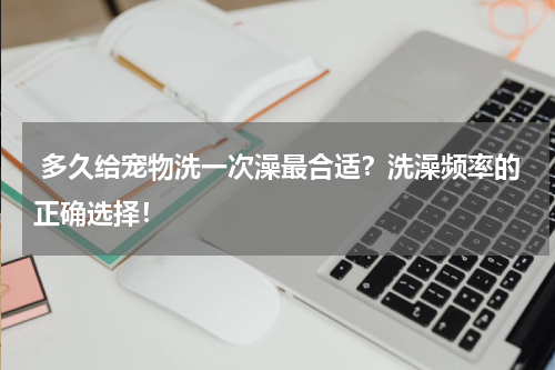 多久给宠物洗一次澡最合适?洗澡频率的正确选择!